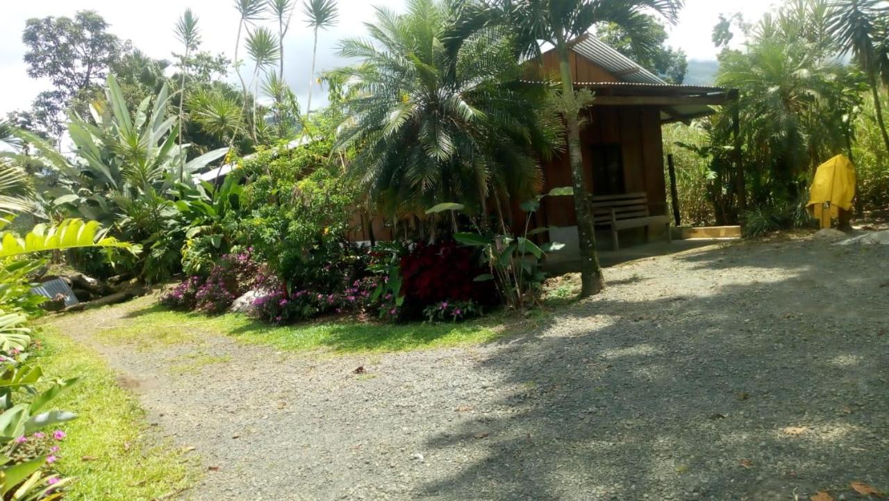 Posada Rio Celeste In Bed & Breakfast Exterior photo